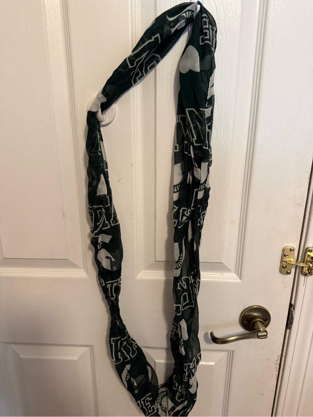 Michigan state  Graphic Infinity Scarf